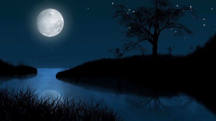 风景 夜 月亮