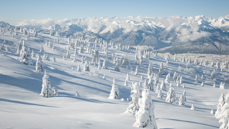 风景 冰天雪地