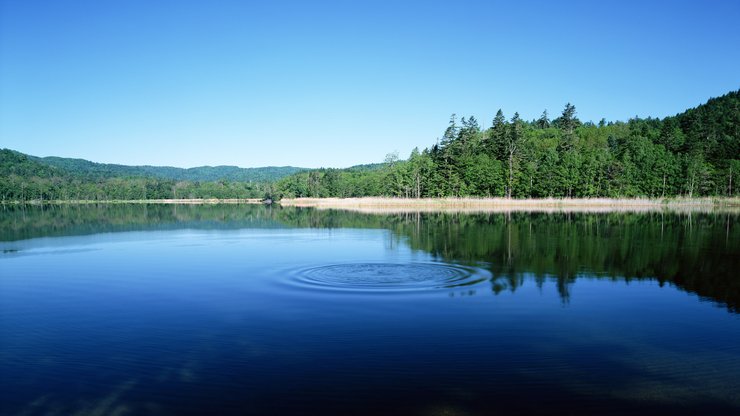 风景 自然风光 湖泊 春意盎然 mlgb