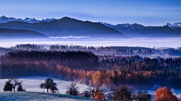 风景 山谷 雾