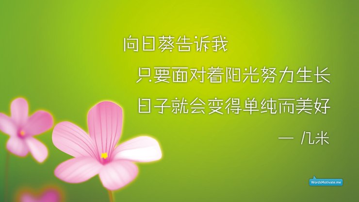 小清新 清新淡雅 花卉