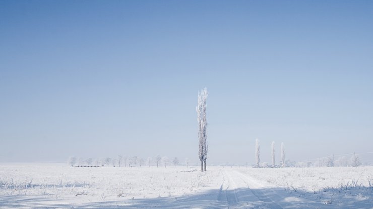 风景 冰天雪地