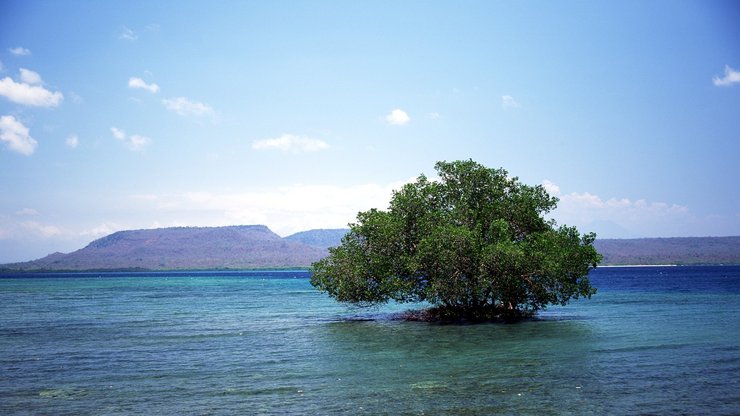 风景 海洋天堂