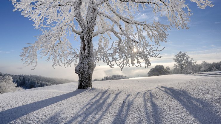 超宽 全景 风景 儿童桌面专用 冰天雪地 mlgb