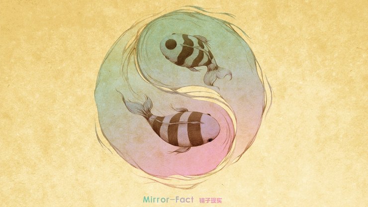 安卓手机动漫 卡通 插画 手绘 Mirror Fact 镜子现实高清壁纸