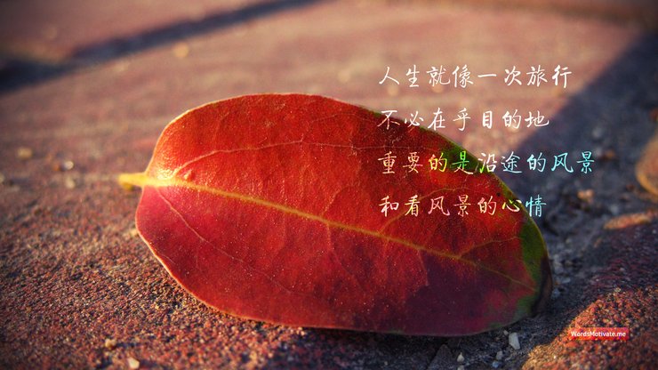 安卓手机创意 励志 正能量高清壁纸