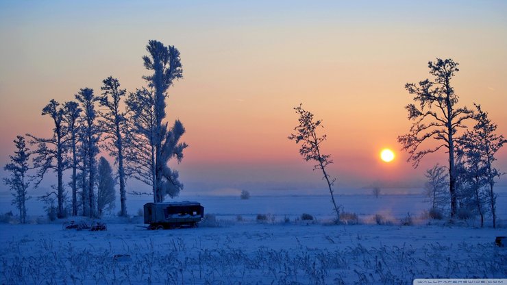 安卓手机风景 白雪 冬天 冬季 落日高清壁纸