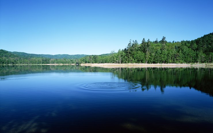 安卓手机风景 自然风光 湖泊 春意盎然 mlgb高清壁纸