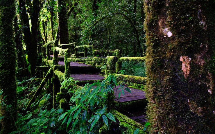 安卓手机风景 旅游 泰国高清壁纸