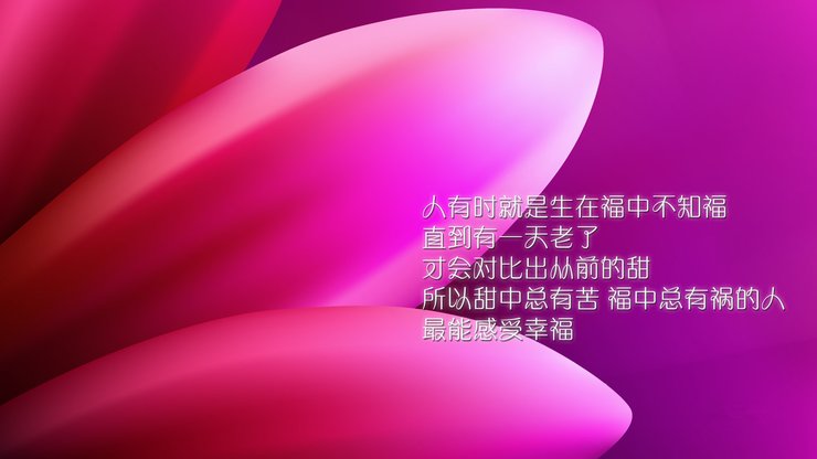 安卓手机小清新 励志高清壁纸