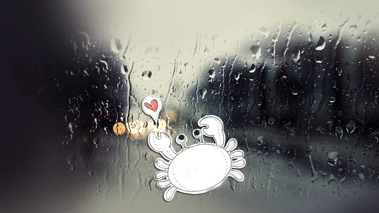 安卓手机爱情美图 唯美温馨 巨蟹座的爱情 雨天高清壁纸