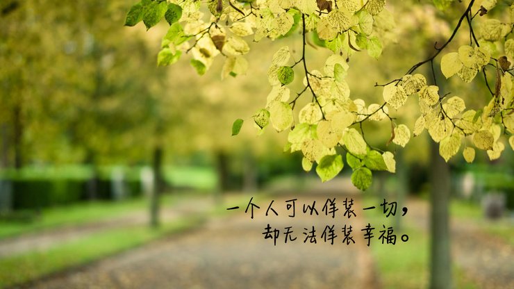 安卓手机爱情 方案高清壁纸
