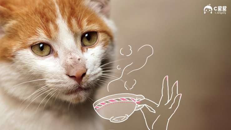 安卓手机萌宠 喵星人 猫咪 C酱酱高清壁纸