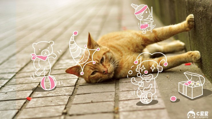 安卓手机萌宠 喵星人 猫咪 C酱酱高清壁纸