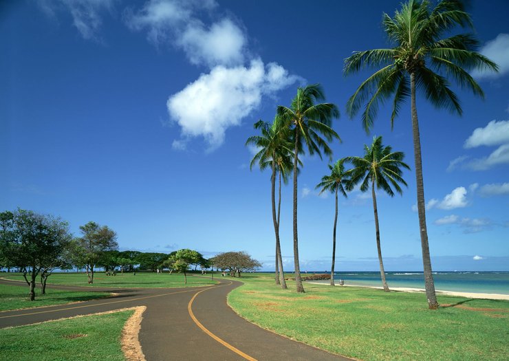 安卓手机风景 蓝天 白云高清壁纸