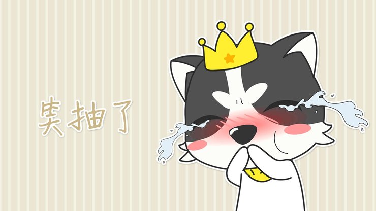 安卓手机动漫 狗 哈士奇 萌 贱高清壁纸