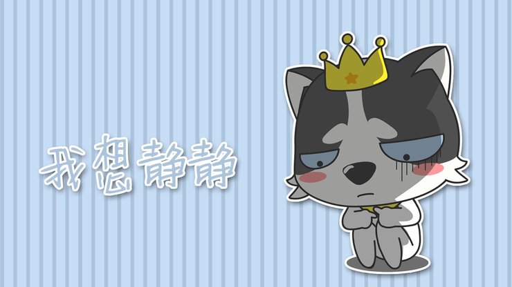 安卓手机动漫 狗 哈士奇 萌 贱高清壁纸