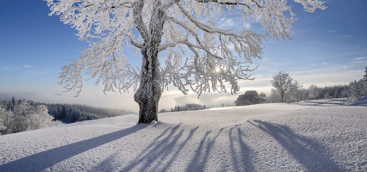 安卓手机超宽 全景 风景 儿童桌面专用 冰天雪地 mlgb高清壁纸