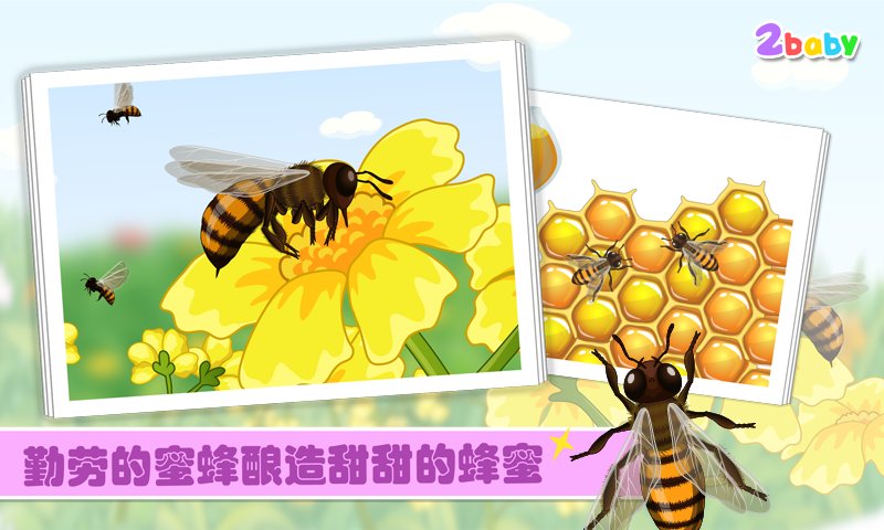 蜜蜂截图1