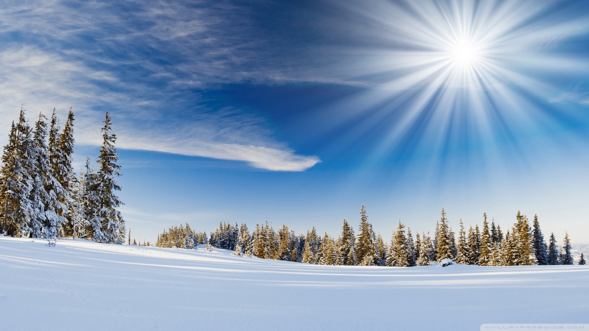 安卓(android)风景 白雪 雪地 冬天 冬季 阳光 蓝天