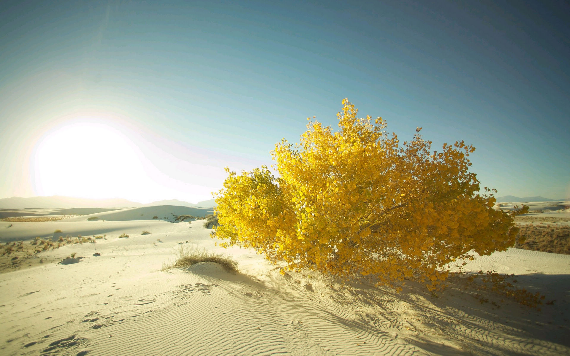 安卓(android)风景 沙漠 自然风光高清手机壁纸免费下载,安心市场